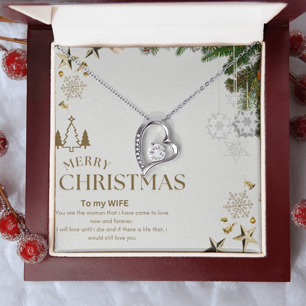 Merry Christmas to MY WIFE