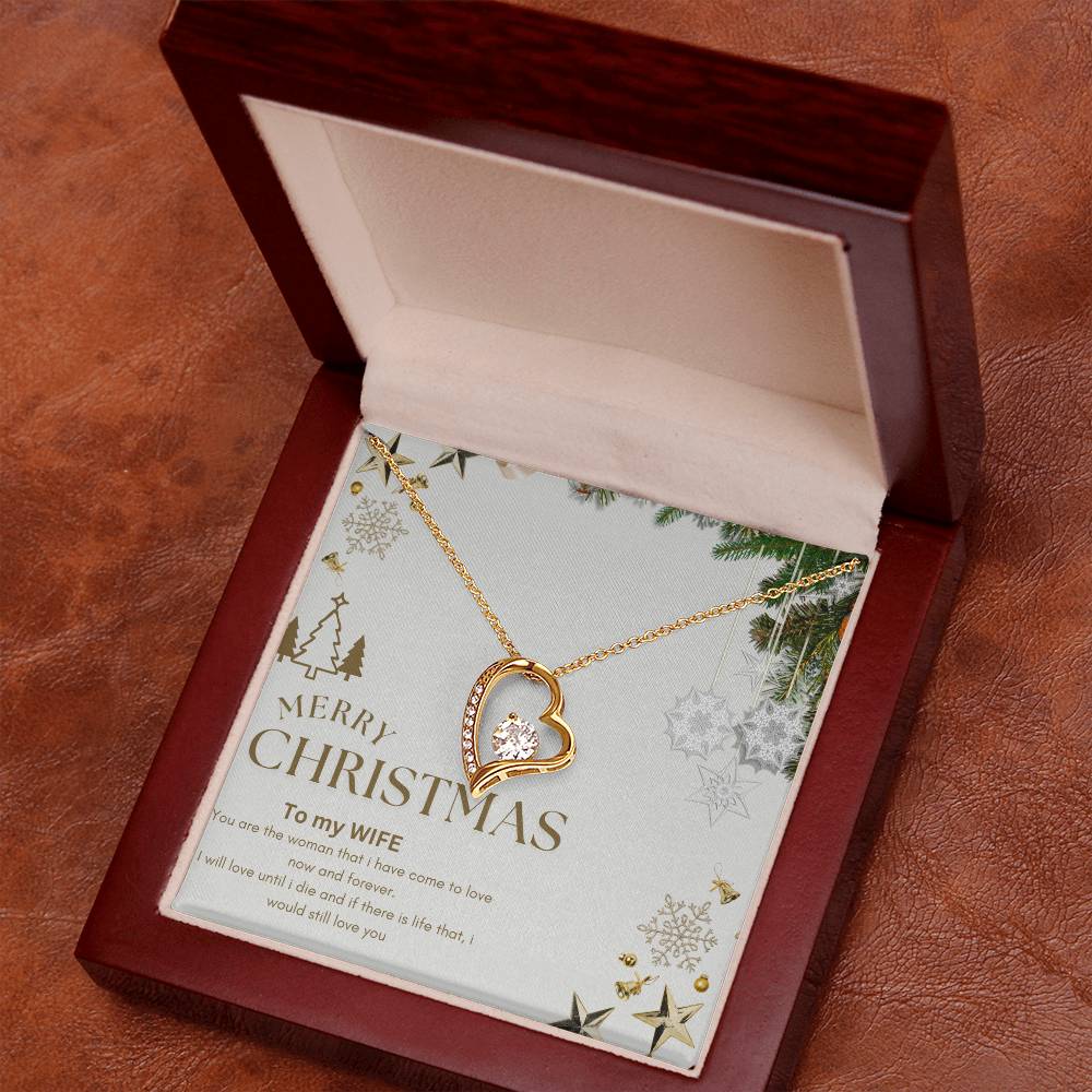 Merry Christmas to MY WIFE