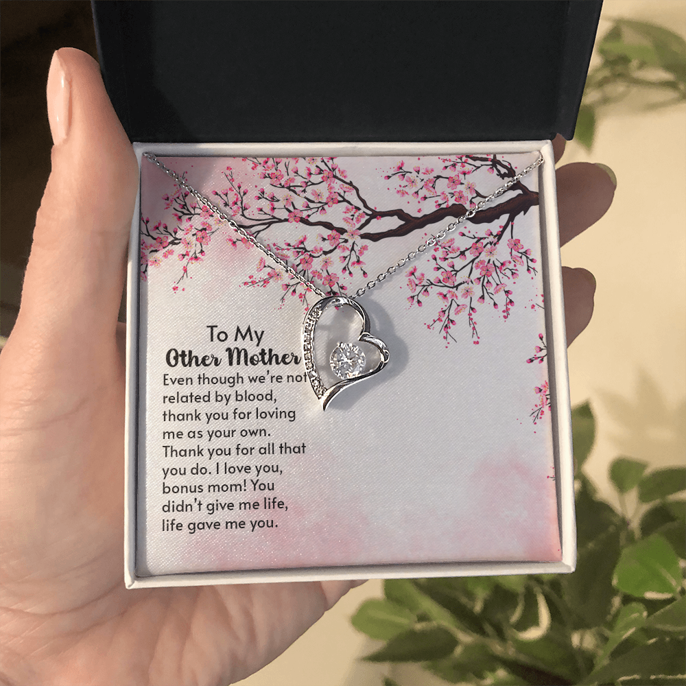 To my other Mother