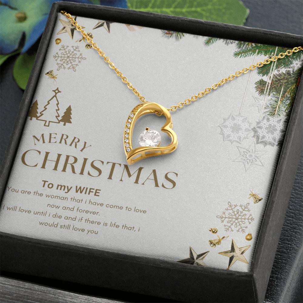 Merry Christmas to MY WIFE
