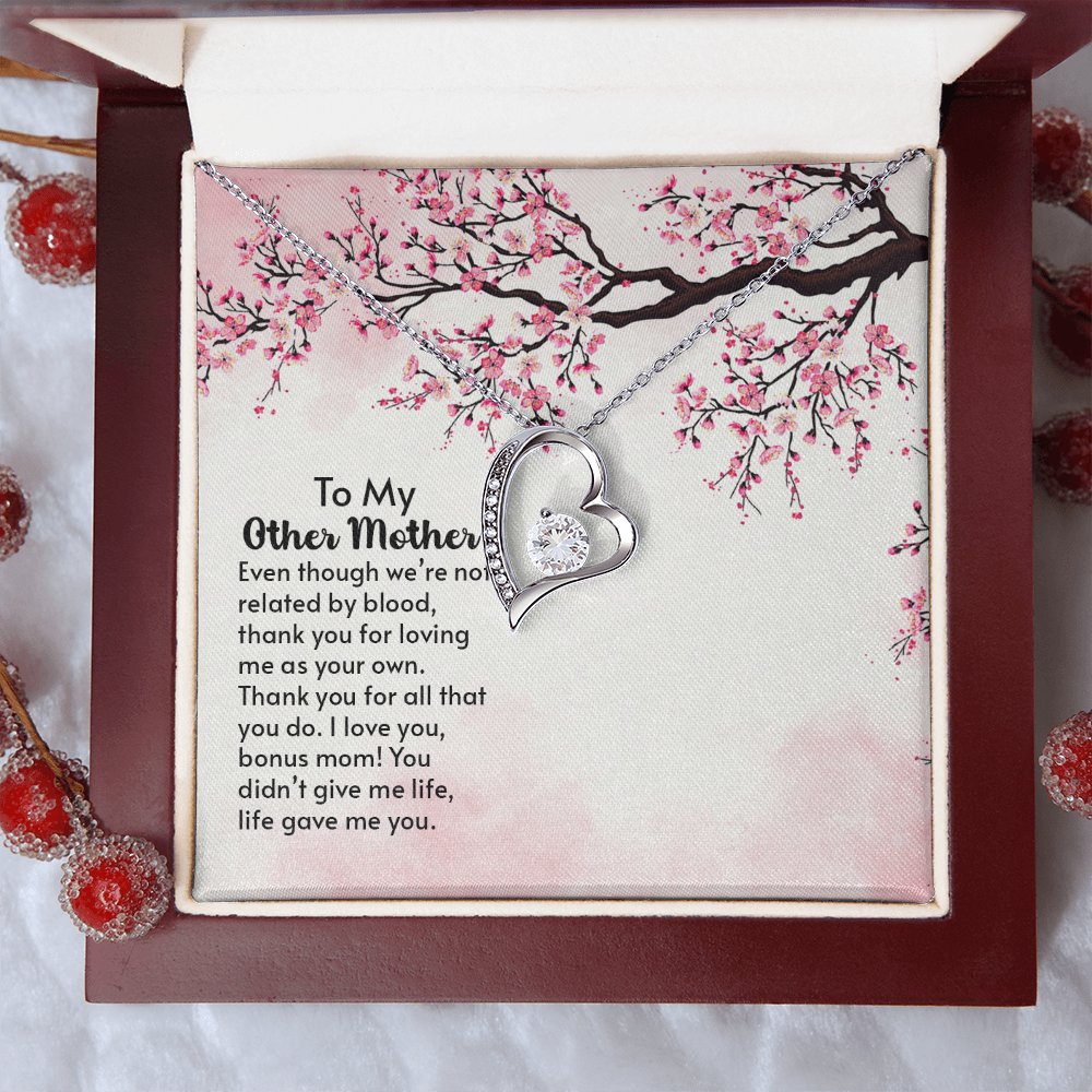To my other Mother