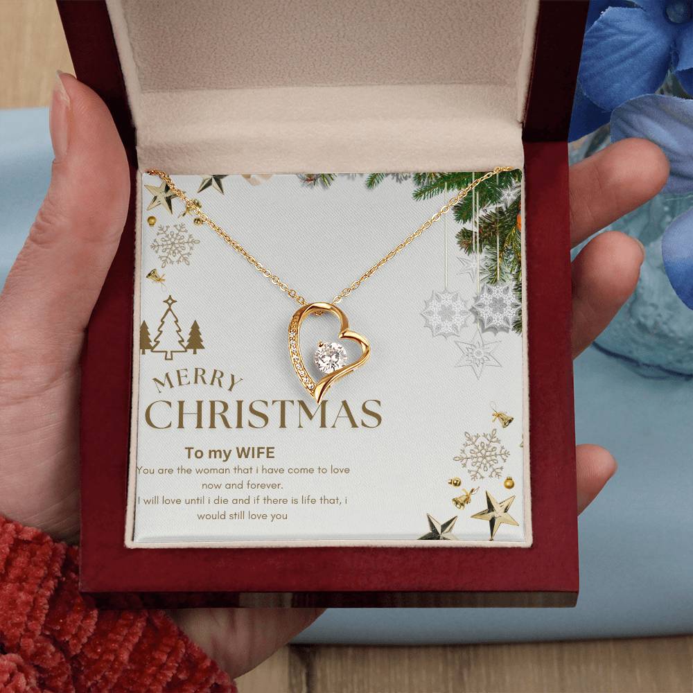 Merry Christmas  to MY WIFE