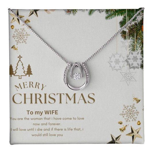 Merry Christmas to MY WIFE
