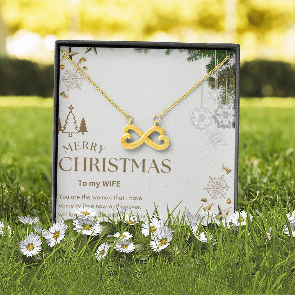 Merry Christmas TO MY WIFE
