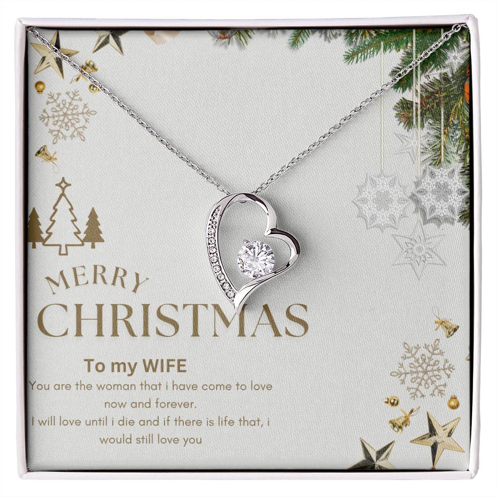 Merry Christmas  to MY WIFE