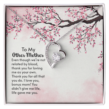 To my other Mother