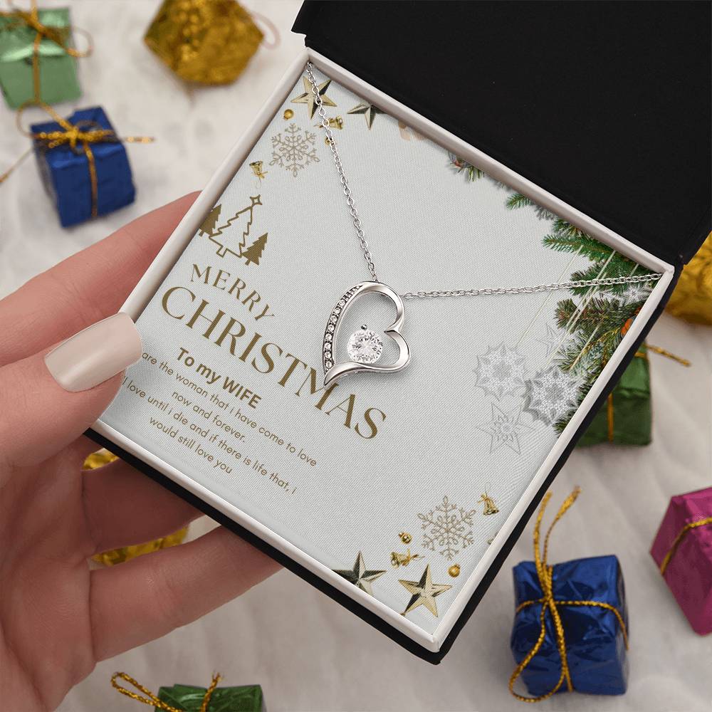 Merry Christmas  to MY WIFE