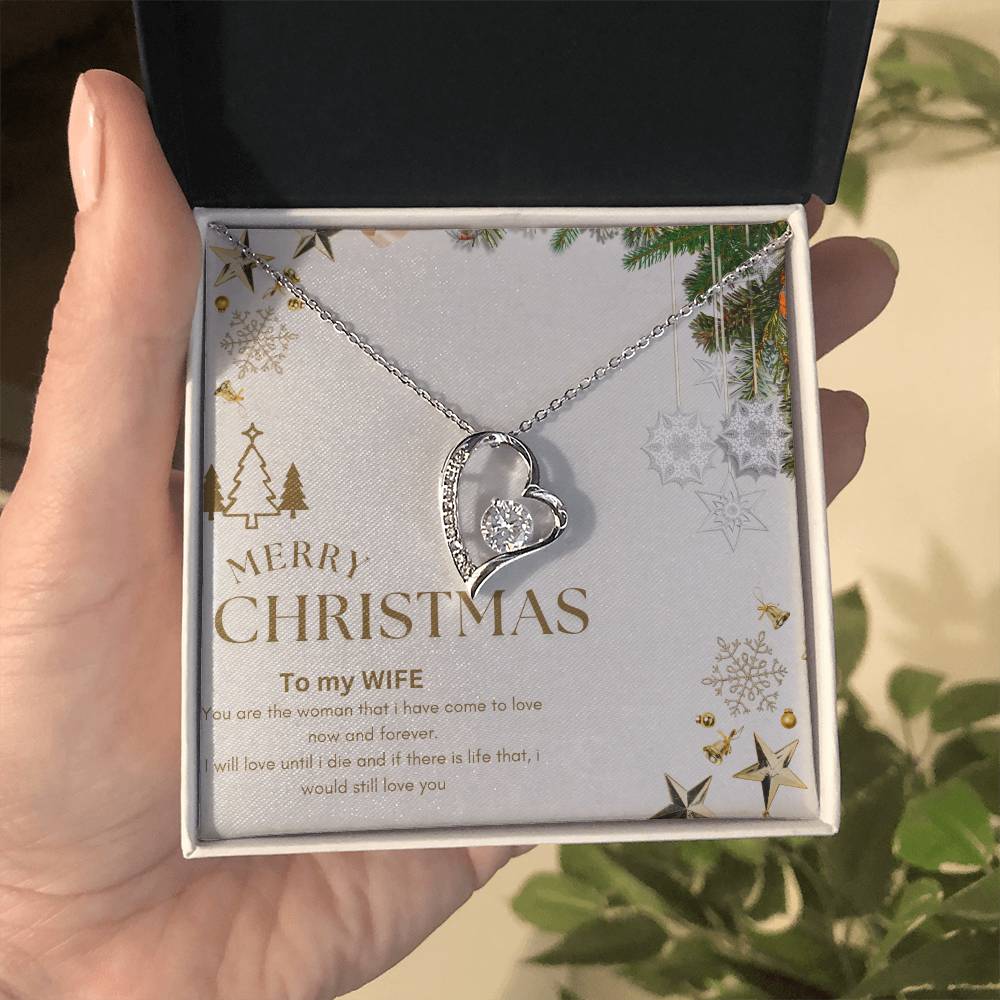 Merry Christmas  to MY WIFE