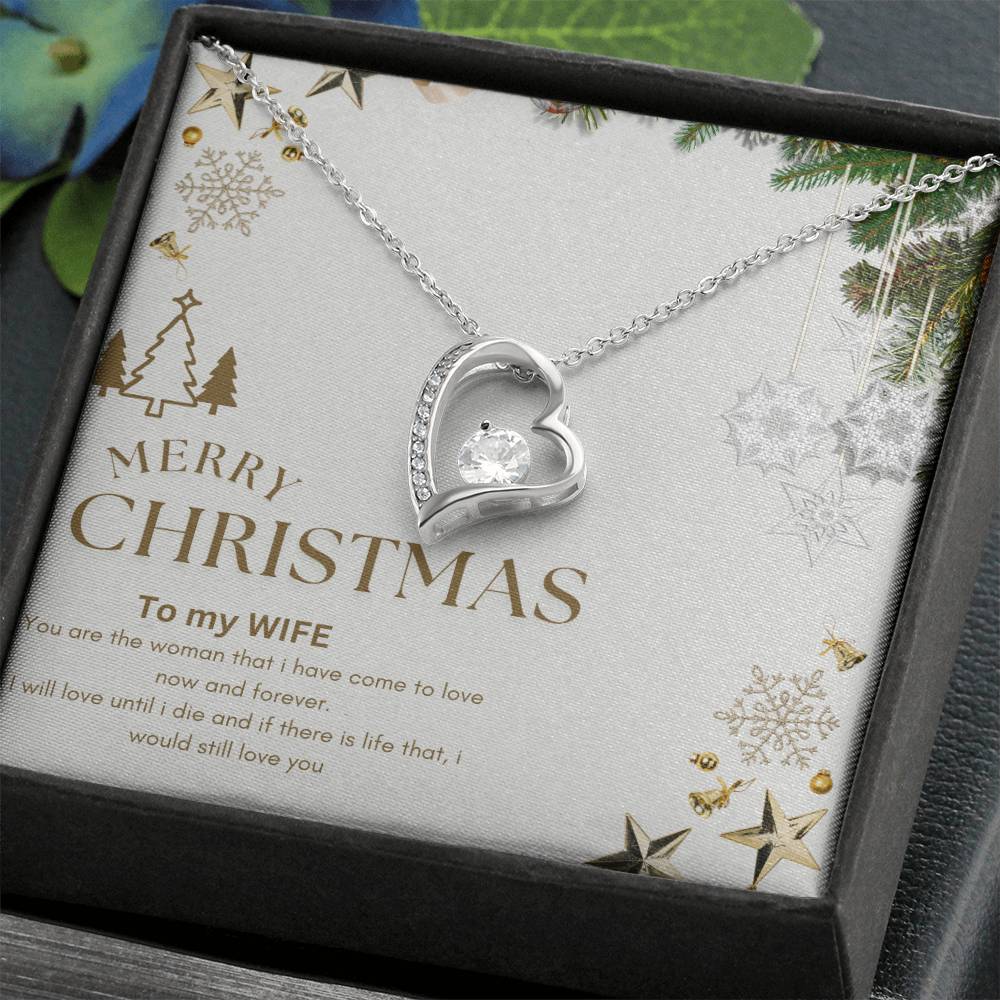 Merry Christmas  to MY WIFE