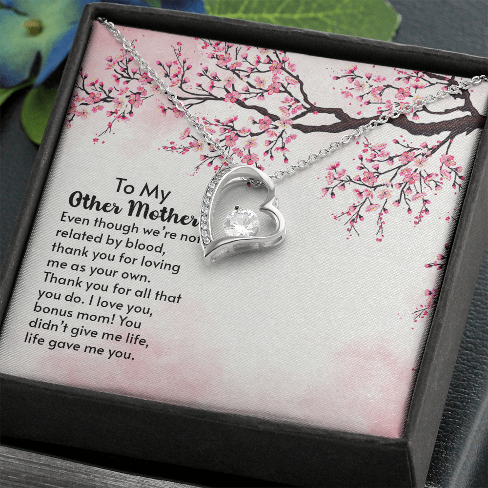 To my other Mother