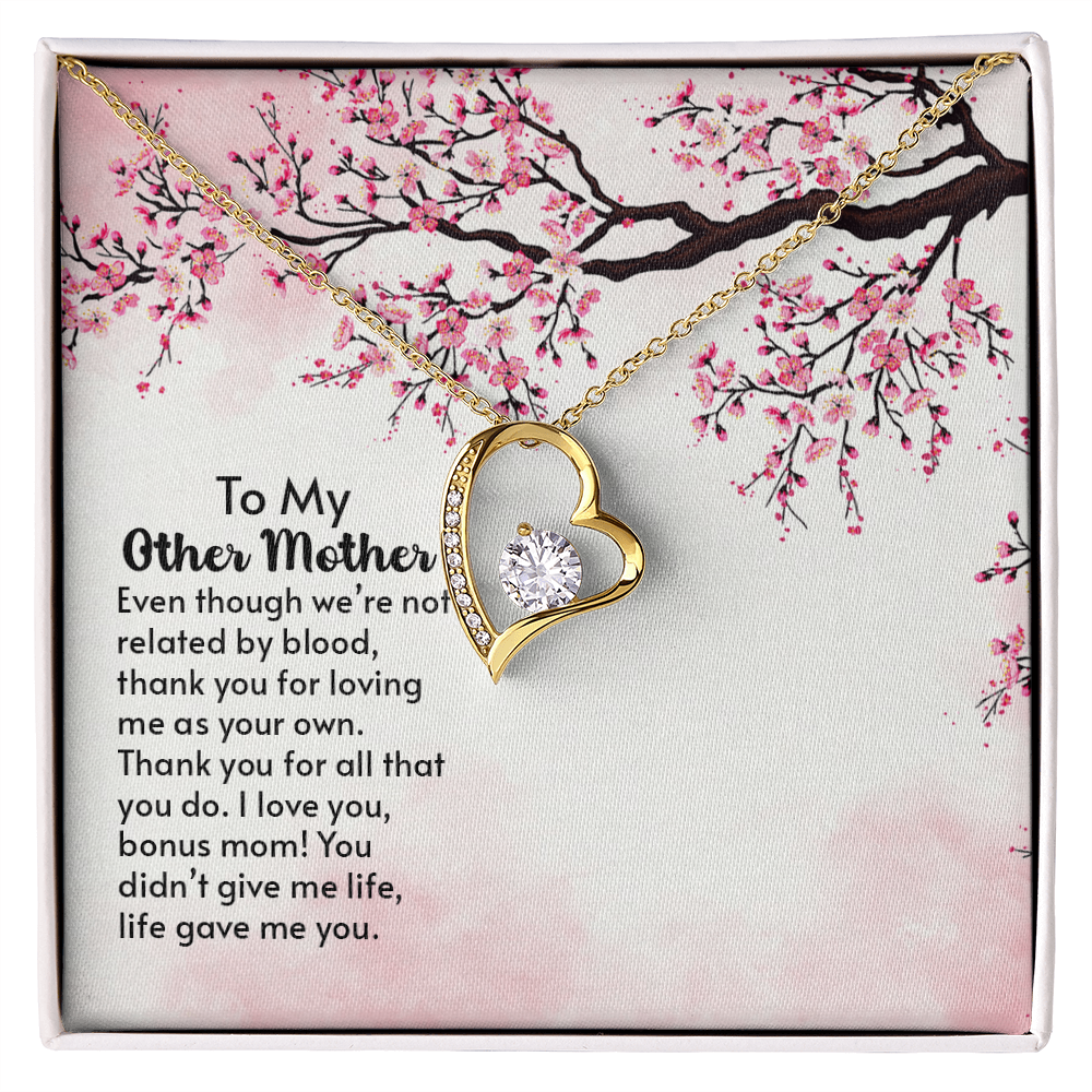 To my other Mother
