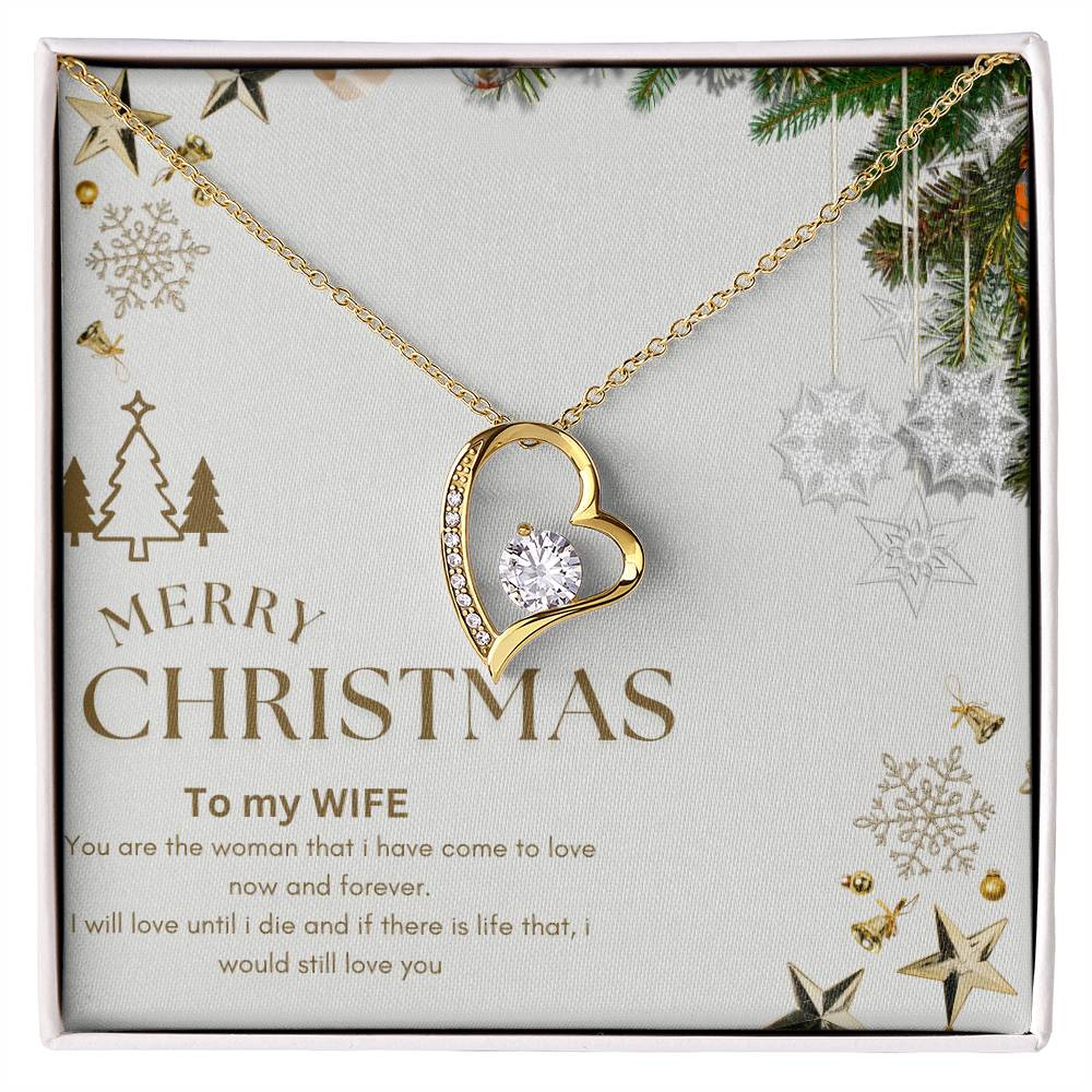 Merry Christmas  to MY WIFE